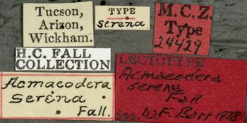 Media type: image;   Entomology 24429 Aspect: labels